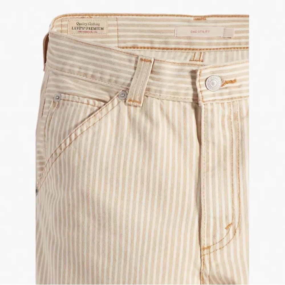 Levi - Picture 2 of 7